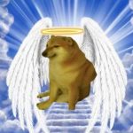 Muere ‘Cheems’, el famoso perrito hecho meme