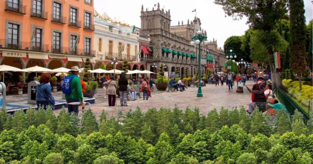 Árboles caen en el Centro Histórico de Puebla: ¿Protección o polémica?